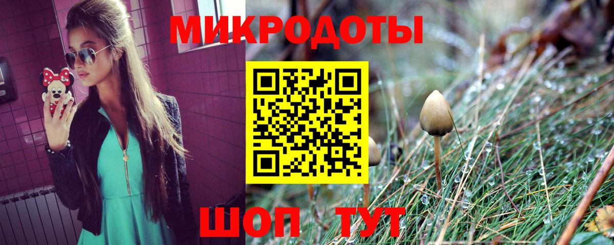 Уварово  Галлюциногенные грибы прущие грибы  Галлюциногенные грибы прущие грибы  Вход с VPN 