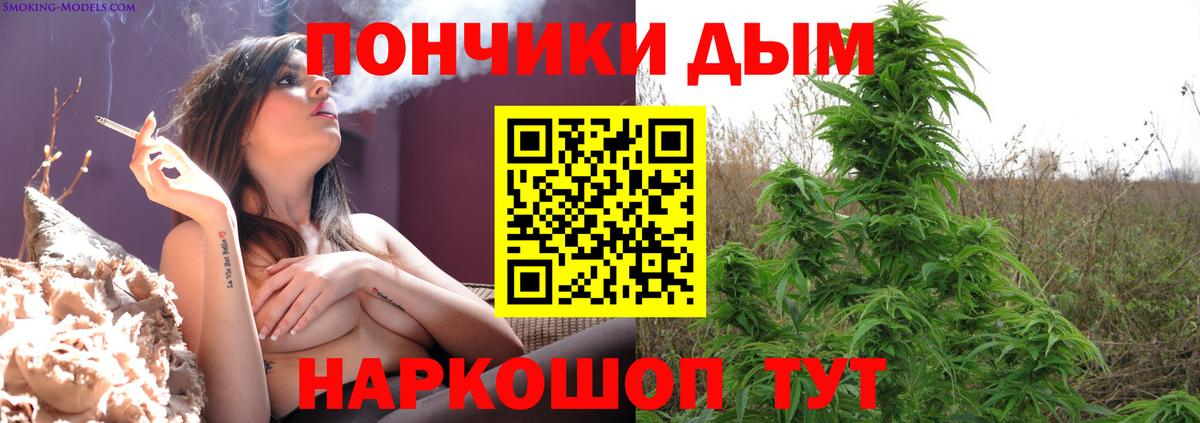 Марихуана план  Вход с VPN  Бошки марихуана AK-47  Уварово  Каннабис сатива 